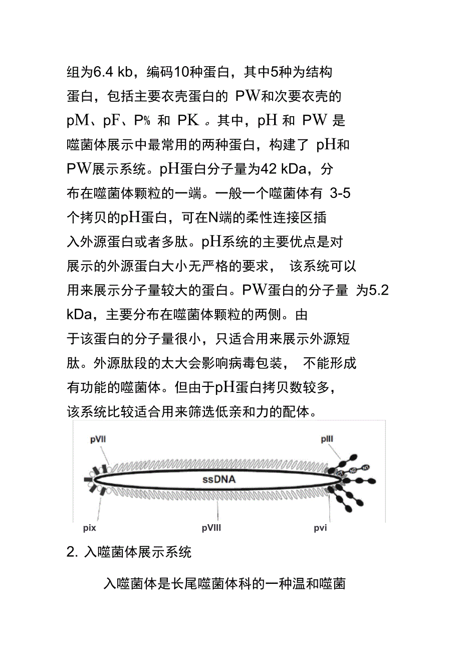 噬菌体展示技术解析_第4页