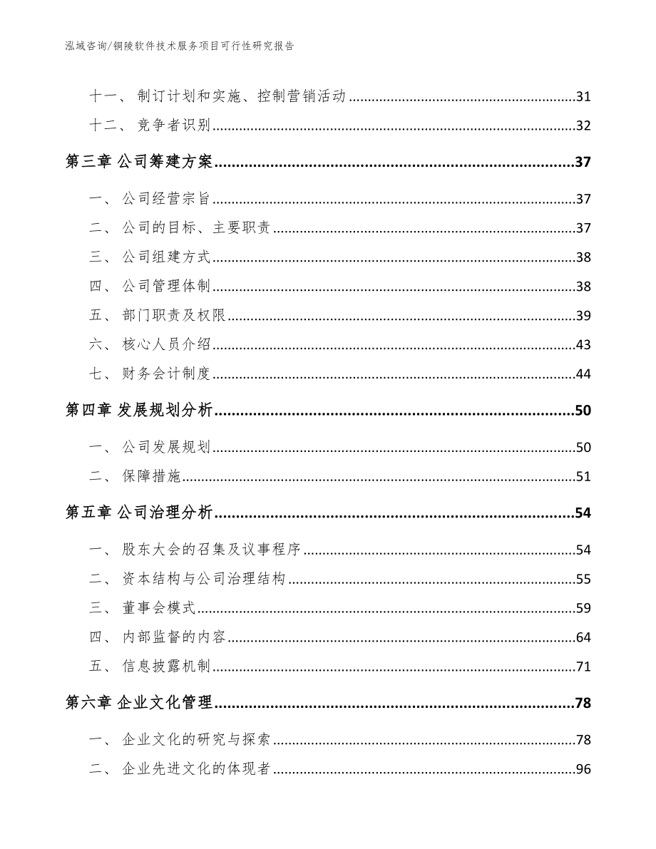 铜陵软件技术服务项目可行性研究报告【范文】_第3页