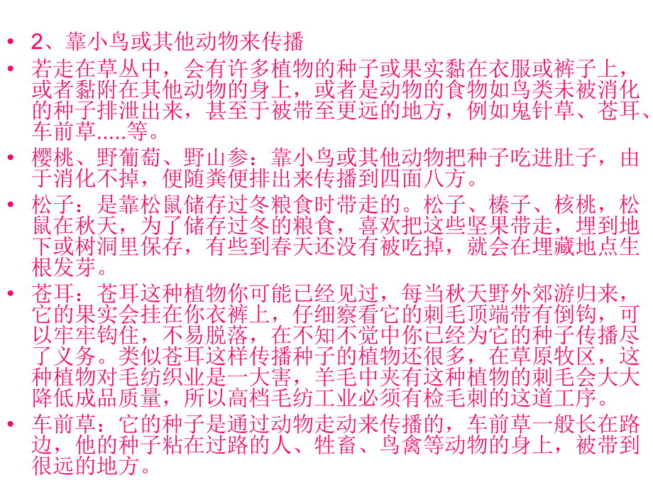 种子的传播方式PPT_第3页