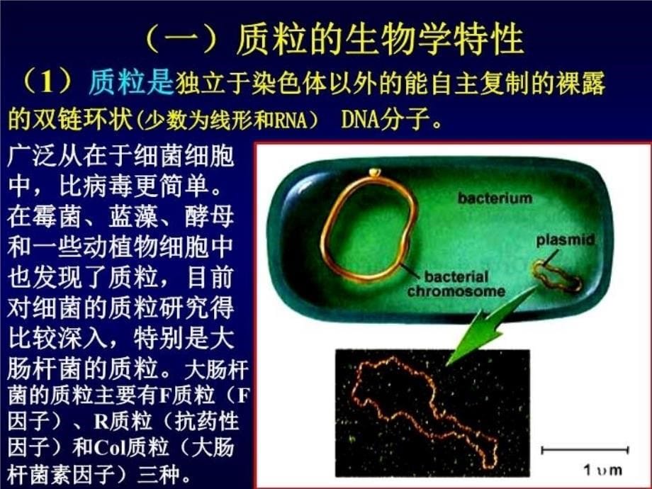 最新多所发生地方PPT课件_第5页