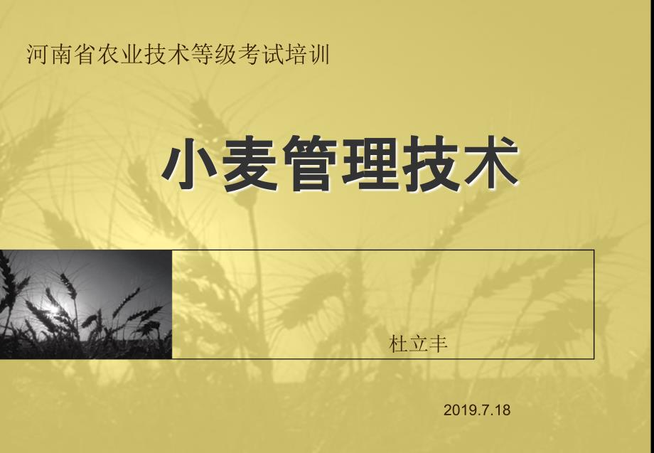 小麦管理技术技术培训共55页PPT课件_第1页