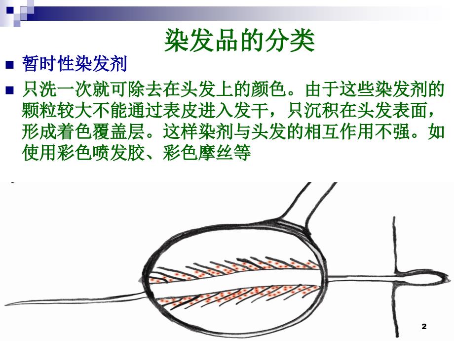 1染发课程染膏的成份和原理优秀课件_第2页