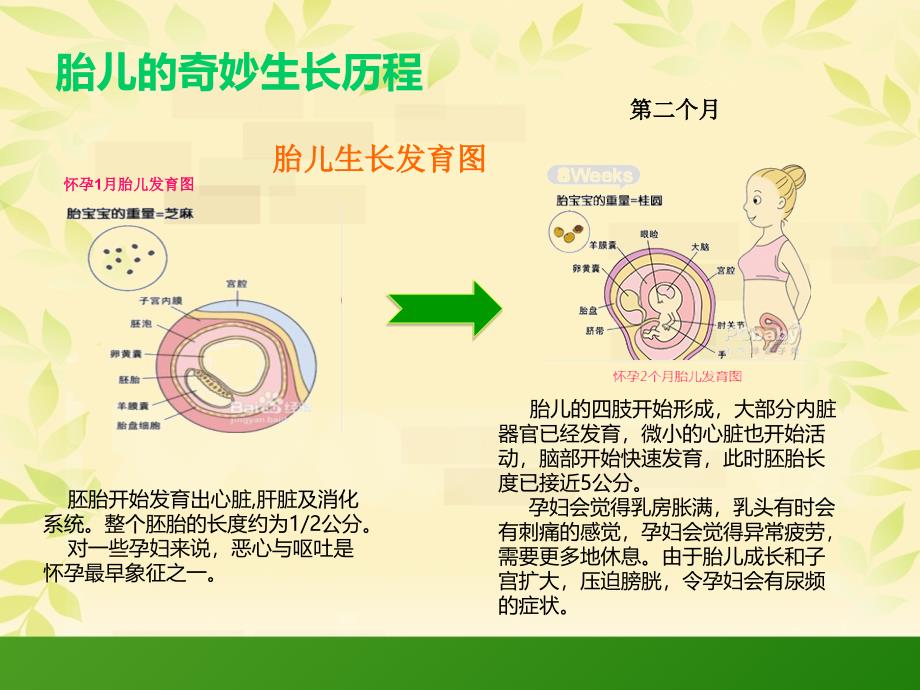 《孕产妇健康知识讲座》_第3页