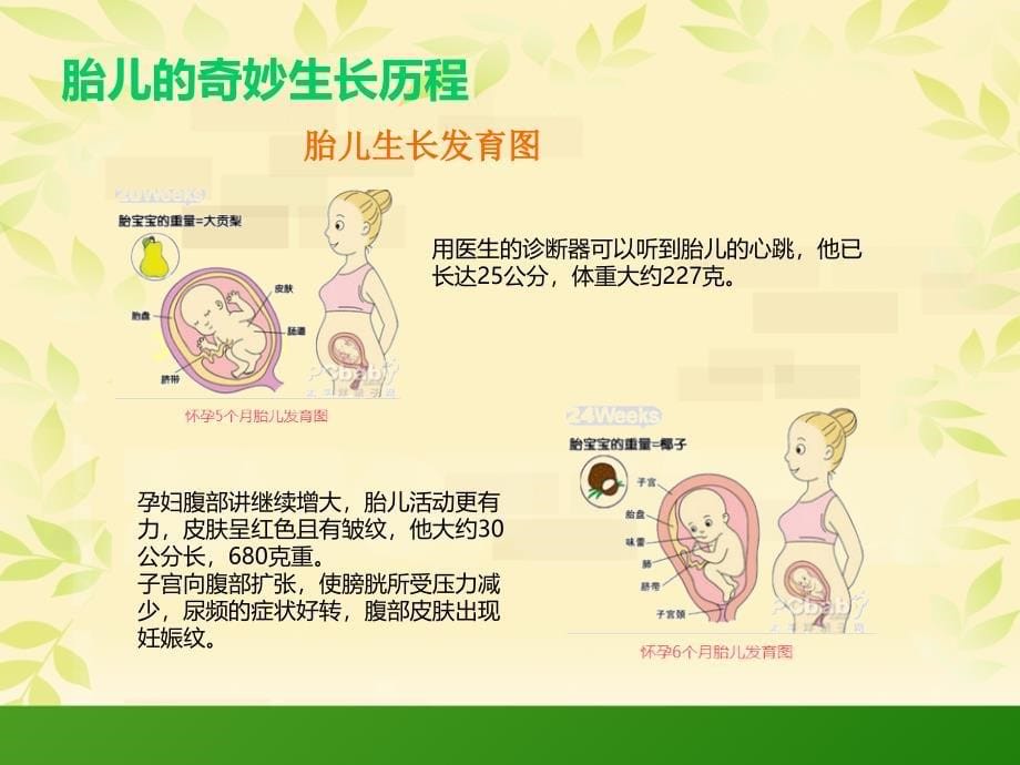 《孕产妇健康知识讲座》_第5页