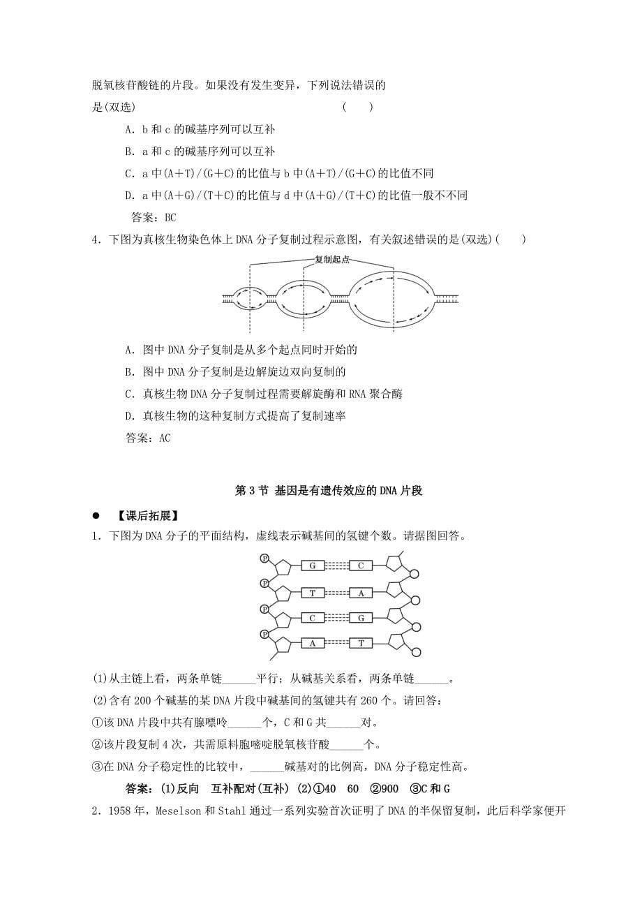 广东省惠州市2022年高考生物总复习 3-3 基因是有遗传效应的DNA片段学案_第5页