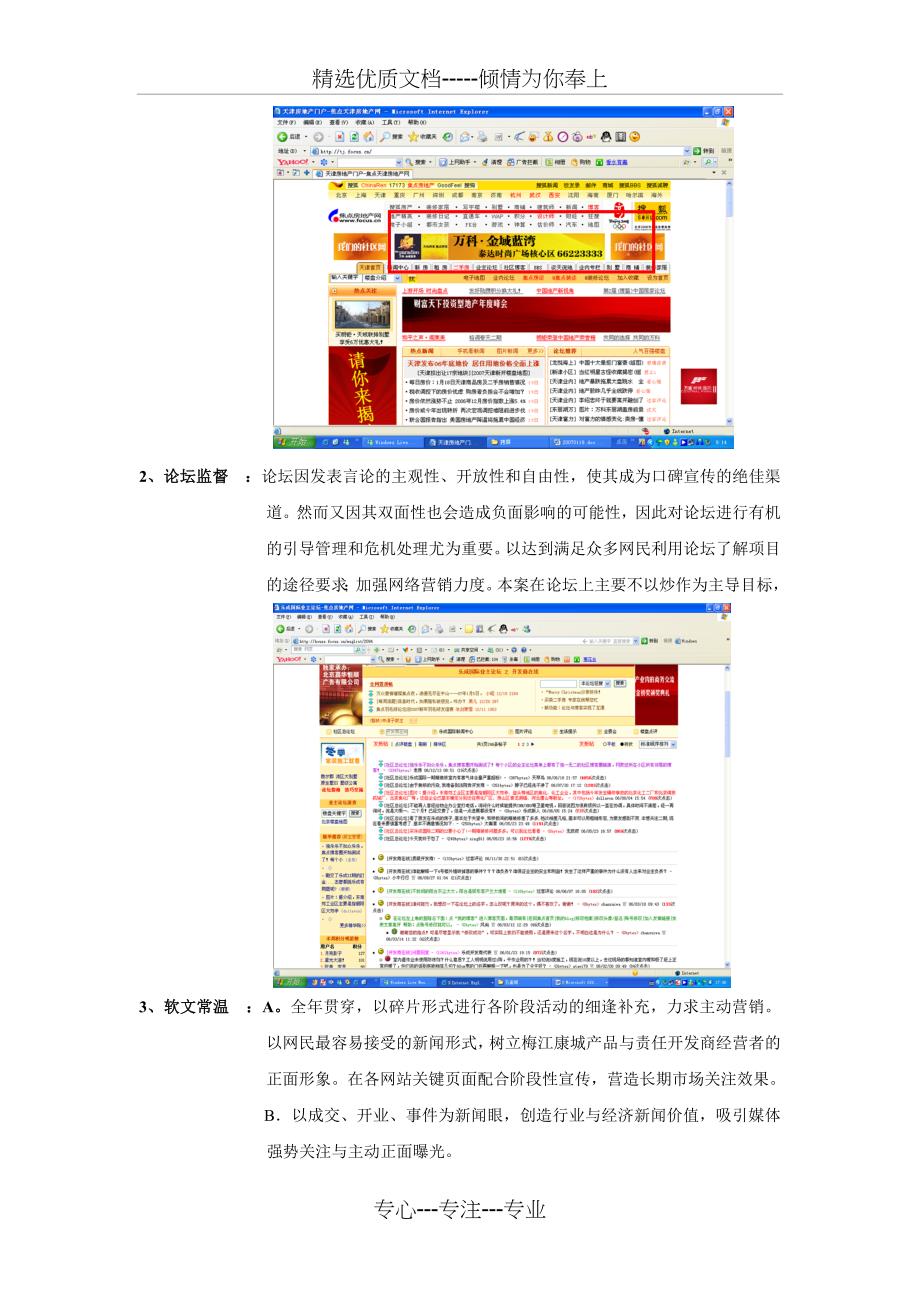 梅江康城2007网络营销建议书_第2页