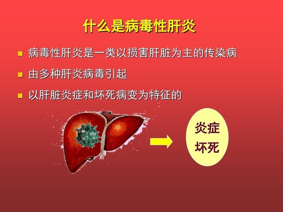 重庆乙肝专科医院公益了解乙肝的病理阳过程肝炎爱心公益ppt课件_第5页