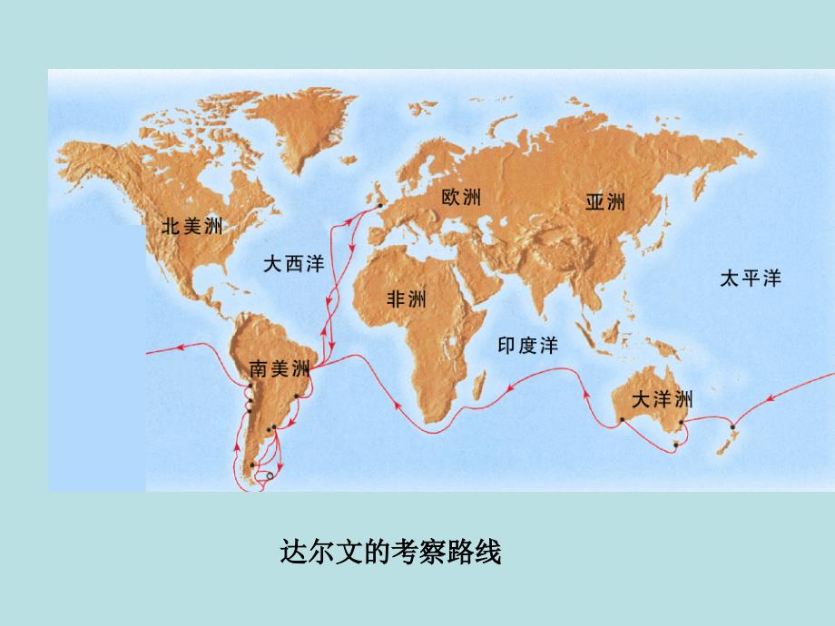 小学六年级下册科学-3.3达尔文和他的“进化论”-苏教版(30张)ppt课件_第4页