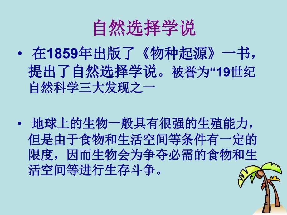 小学六年级下册科学-3.3达尔文和他的“进化论”-苏教版(30张)ppt课件_第5页