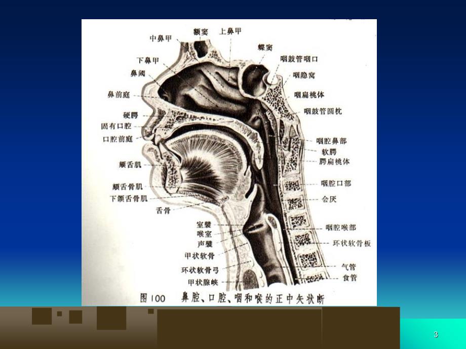 头颈部影像学表现(详细、全面)[共75页]_第3页