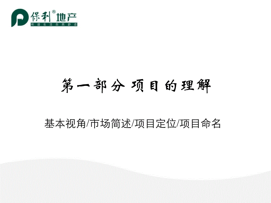 【商业地产】-佛山千灯湖项目营销方案提报-PPT_第3页