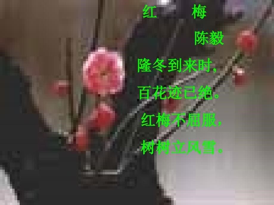 梅花魂课件13页_第5页