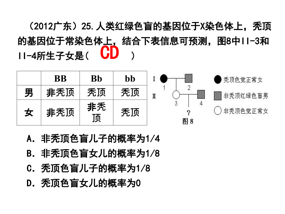 伴性遗传(终稿)_第4页