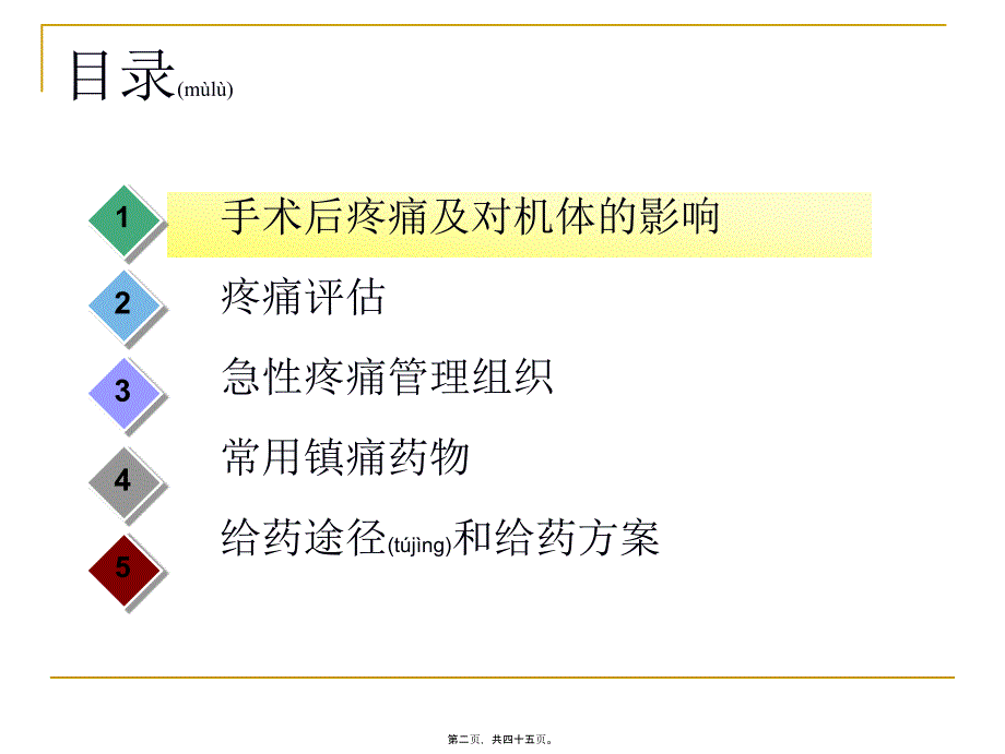 医学专题—手术后疼痛处理24361_第2页