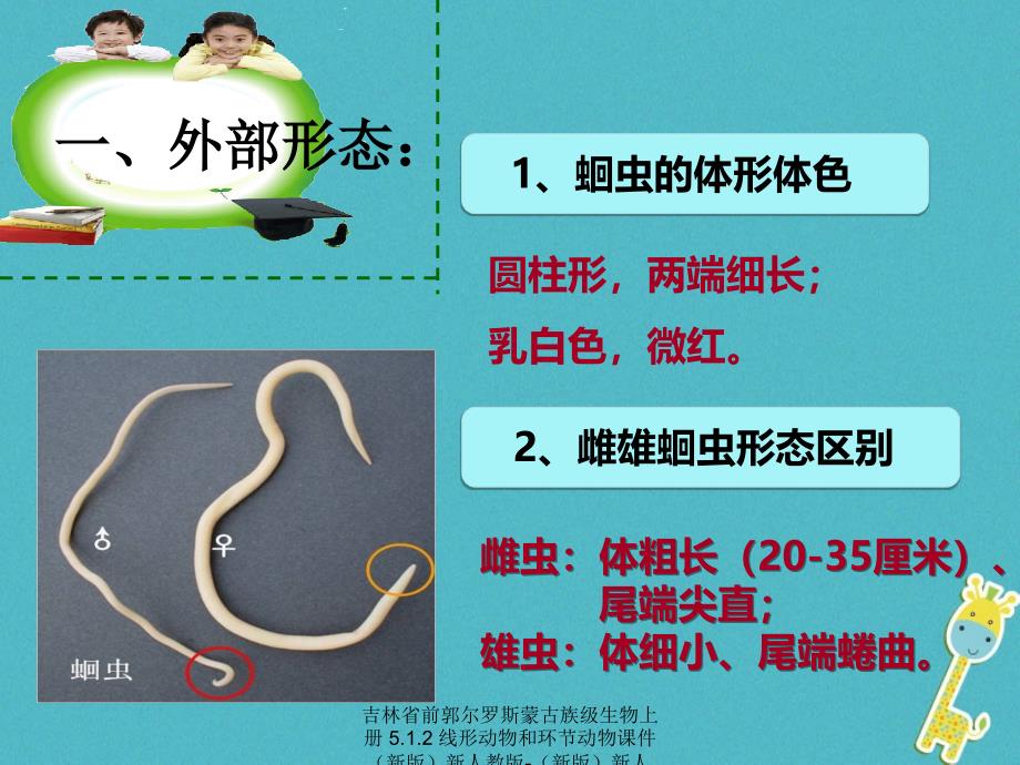 最新吉林省前郭尔罗斯蒙古族级生物上册5.1.2线形动物和环节动物课件新版新人教版新版新人教级上册生物课件_第4页