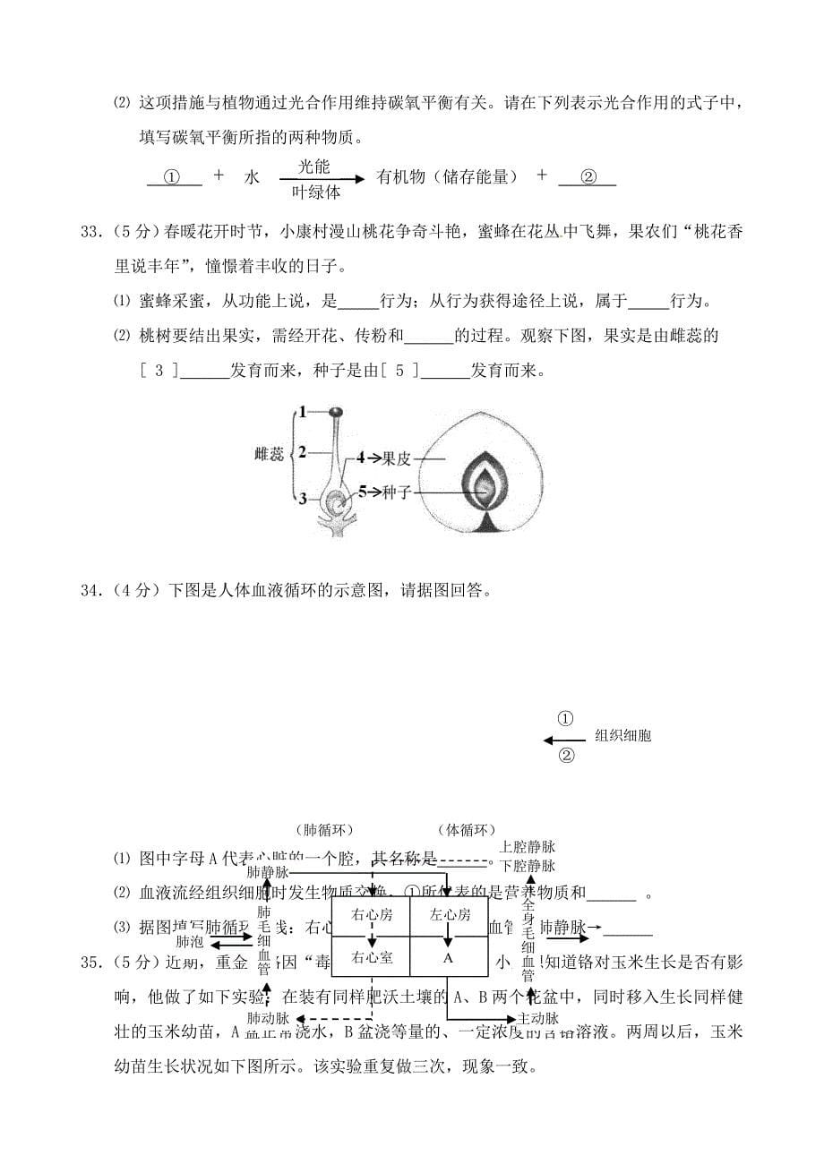 福建省厦门市2020年中考生物真题试题（含答案）_第5页