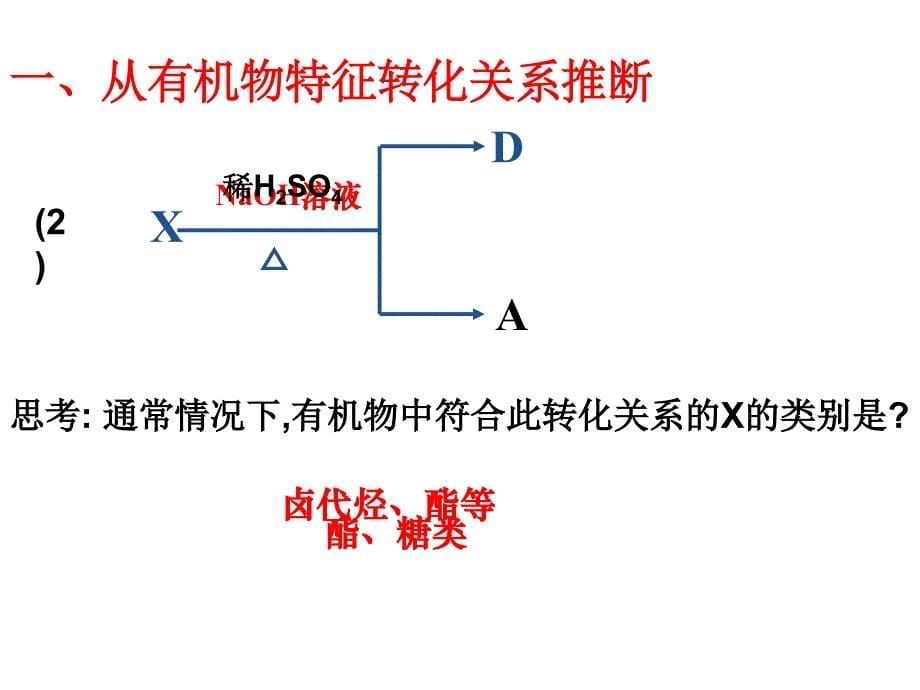 高三一轮总复习_第5页