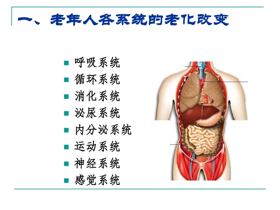 老年人常见健康问题与护理_第2页