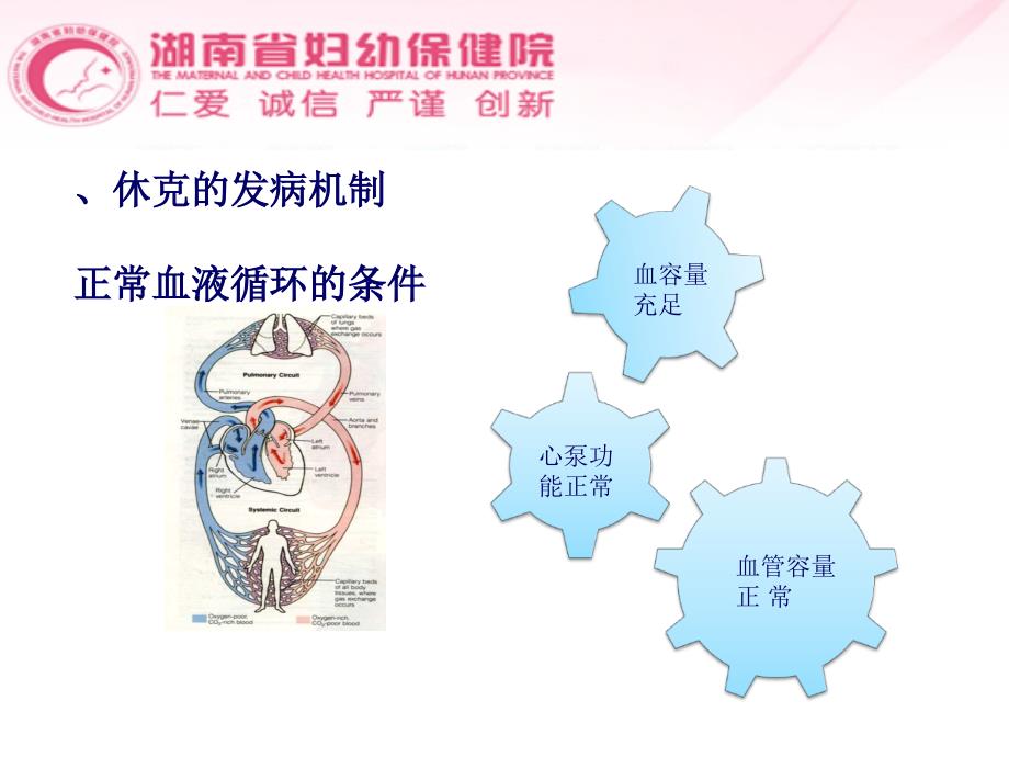 休克患者的急救处理课件_第4页