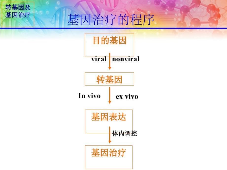 基因操作及其医学应用2讲义_第5页