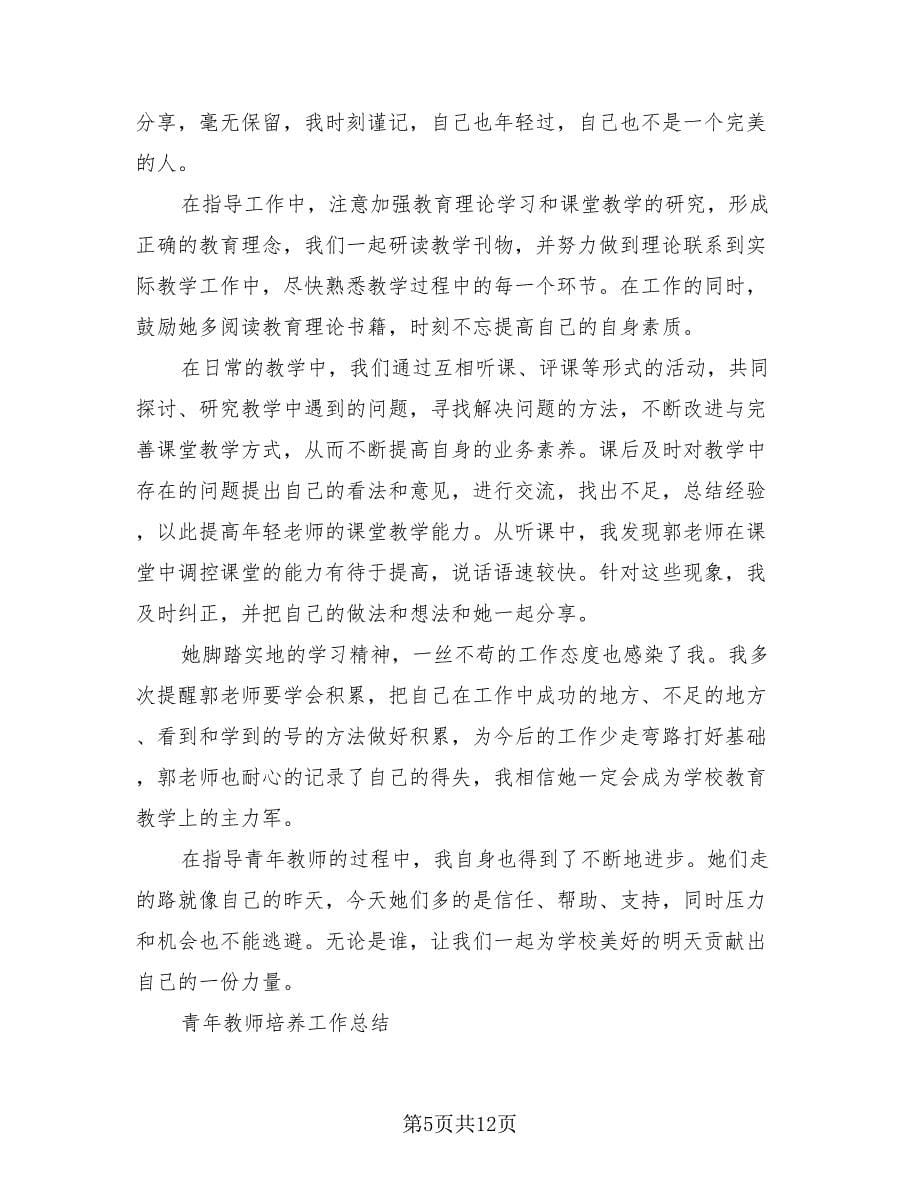 青年教师自我总结标准范本（二篇）.doc_第5页