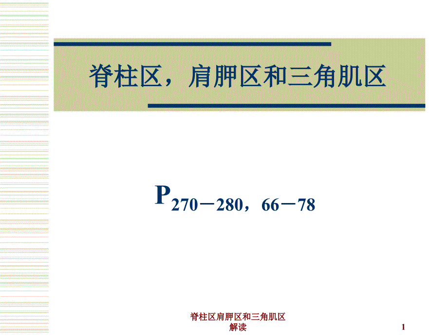 脊柱区肩胛区和三角肌区解读课件_第1页