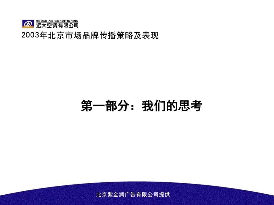 某市场品牌传播策略及表现_第5页