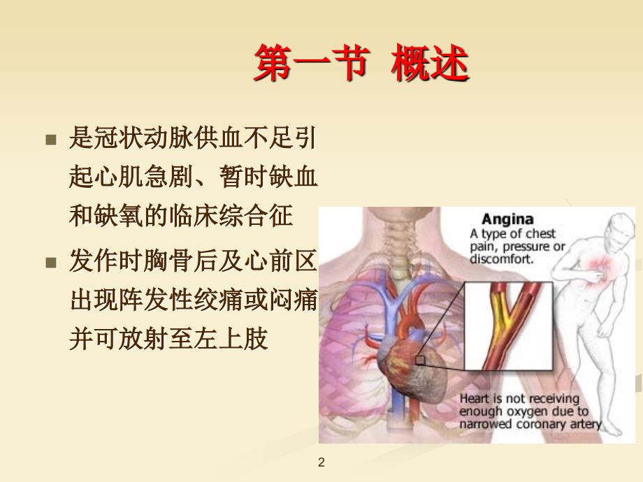 药理学抗心绞痛ppt课件_第2页