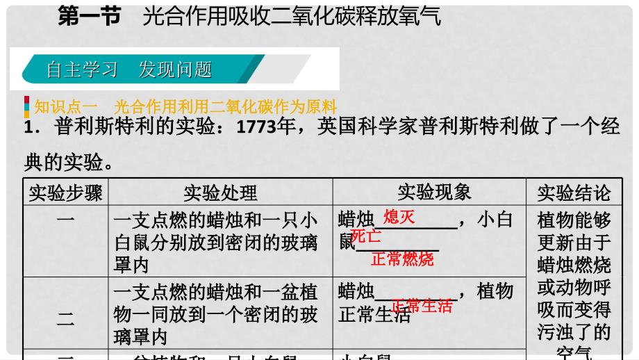 七年级生物上册 第三单元 第五章 第一节 光合作用吸收二氧化碳释放氧气 第1课时 光合作用吸收二氧化碳释放氧气课件 （新版）新人教版_第4页