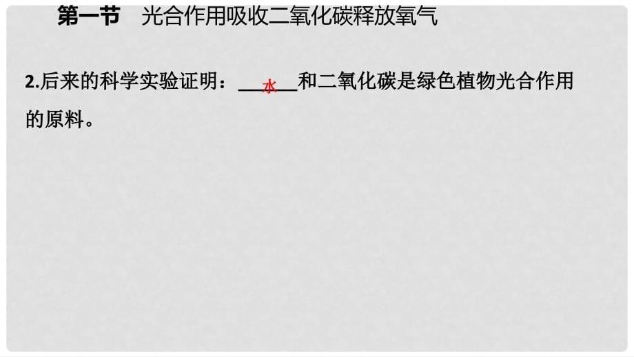 七年级生物上册 第三单元 第五章 第一节 光合作用吸收二氧化碳释放氧气 第1课时 光合作用吸收二氧化碳释放氧气课件 （新版）新人教版_第5页