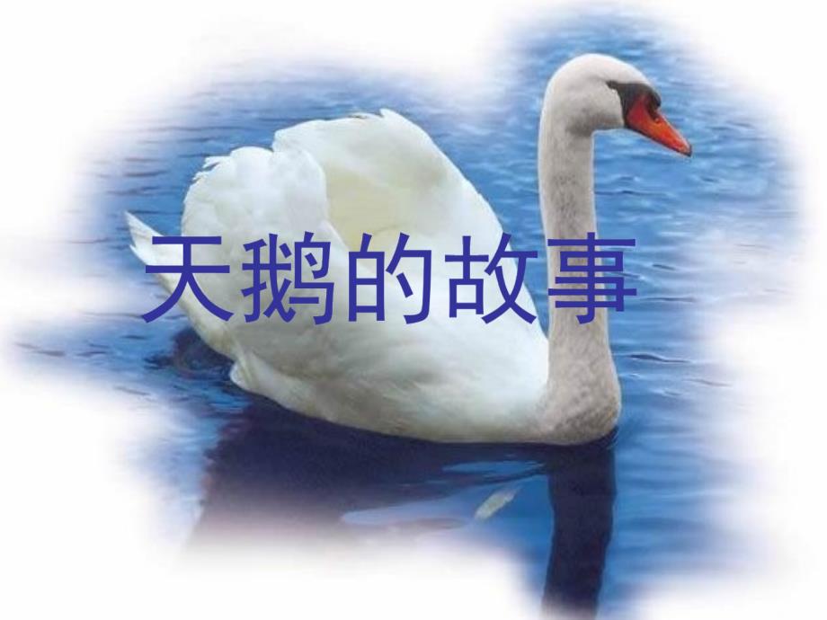 天鹅的故事-副本_第1页