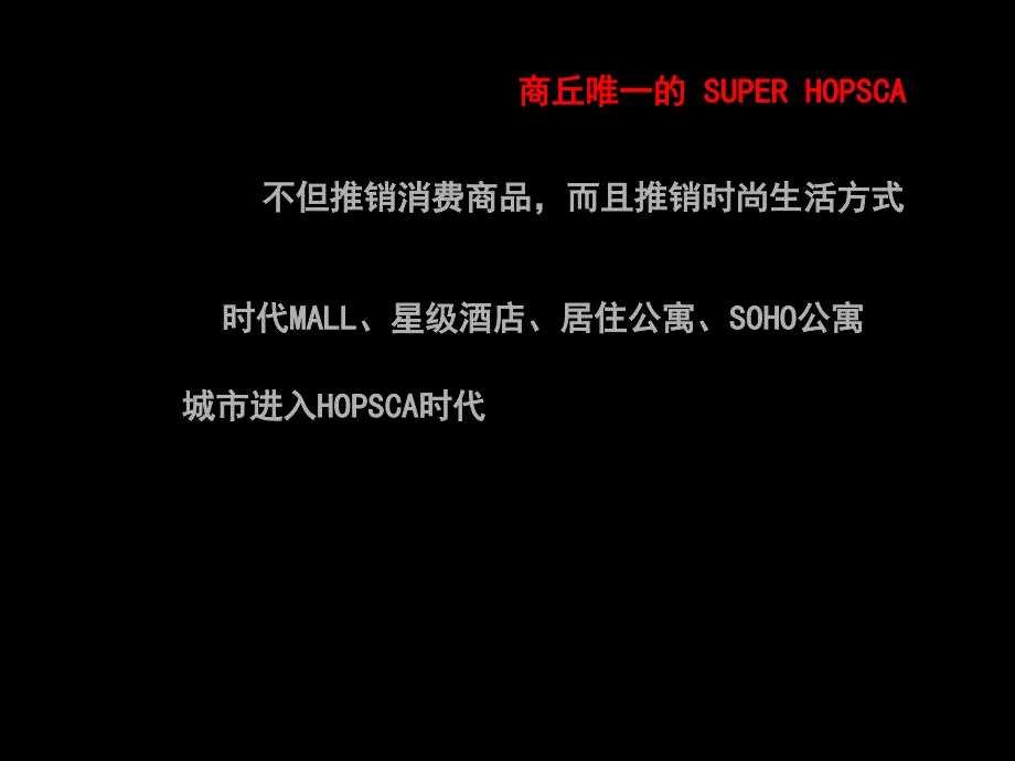 商丘天伦国际广场项目定位及营销方案107PPT_第3页