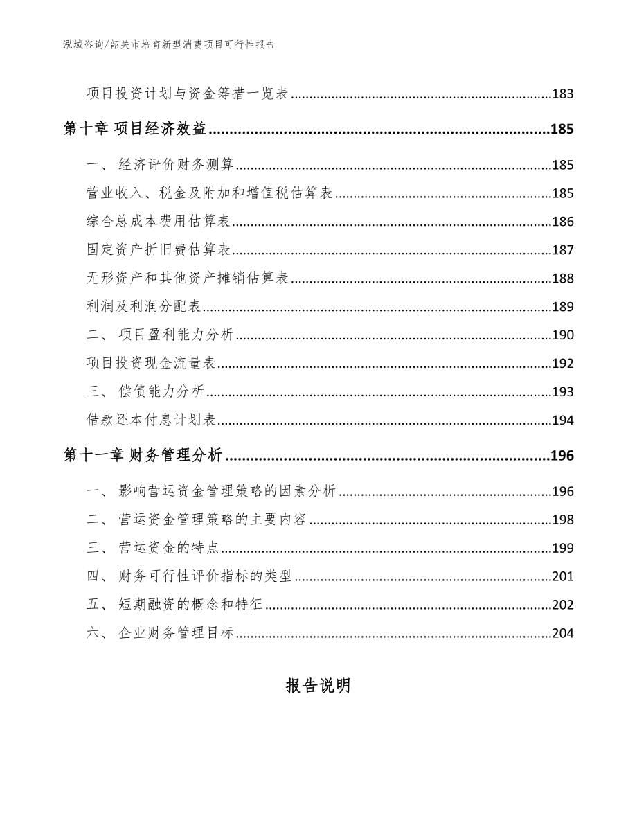 韶关市培育新型消费项目可行性报告模板范文_第5页