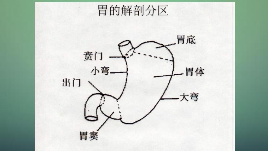 胃指肠外科Gastroduodenalsurgery干货分享_第3页