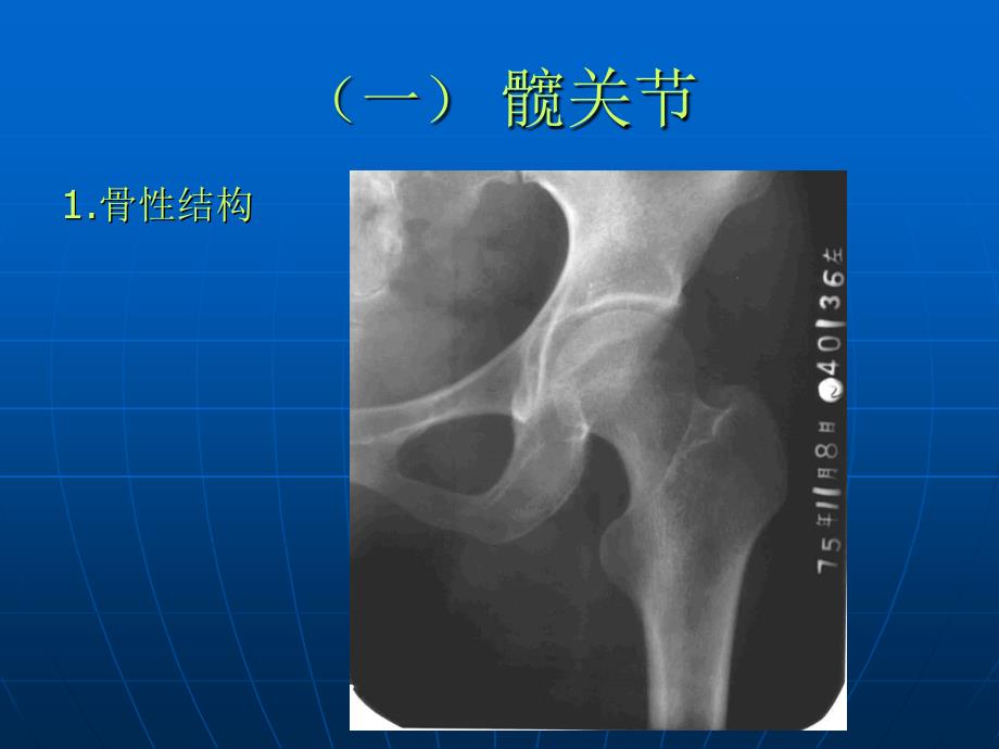 髋关节和股部解剖讲义课件_第2页