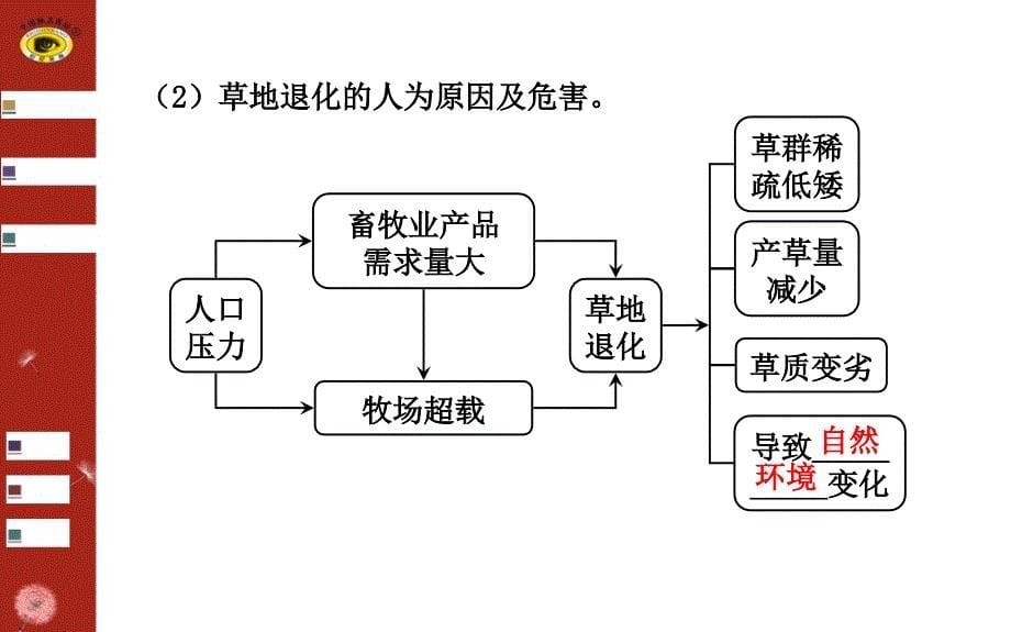 生态环境保护森林及其保护森林的生态功能保持水土课件_第5页