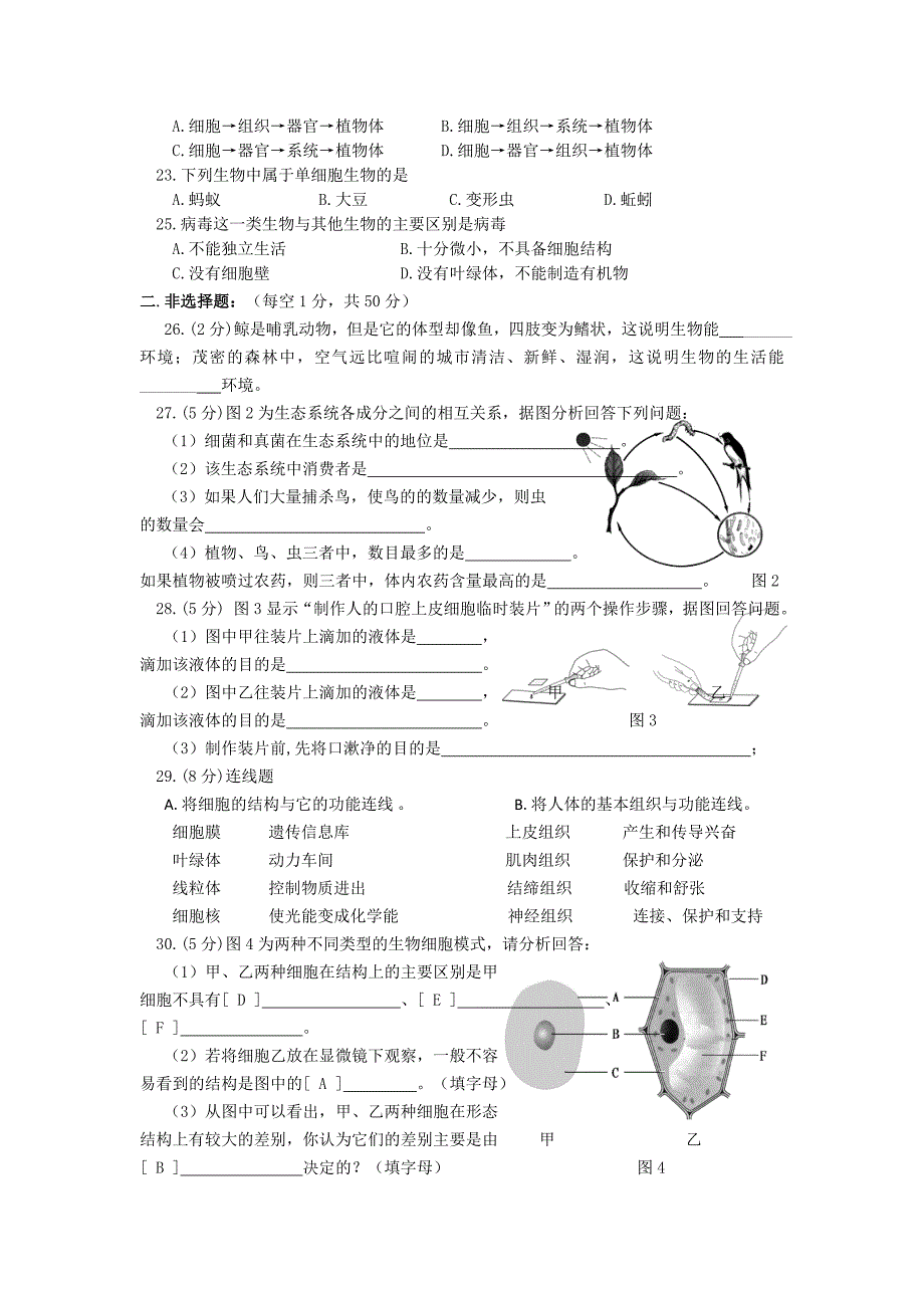 人教版七年级生物上册期中考试卷及答案集.doc_第2页