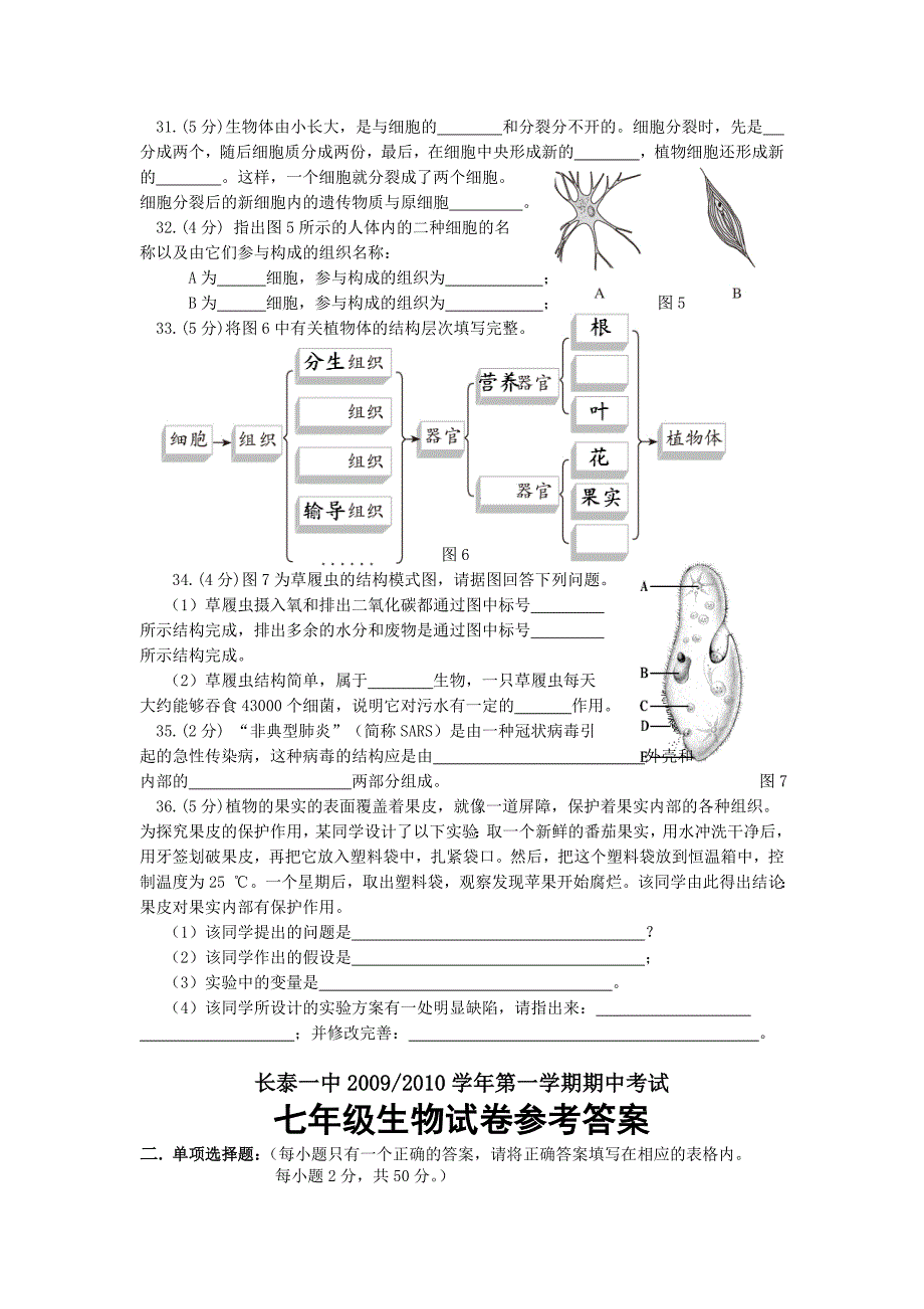 人教版七年级生物上册期中考试卷及答案集.doc_第3页