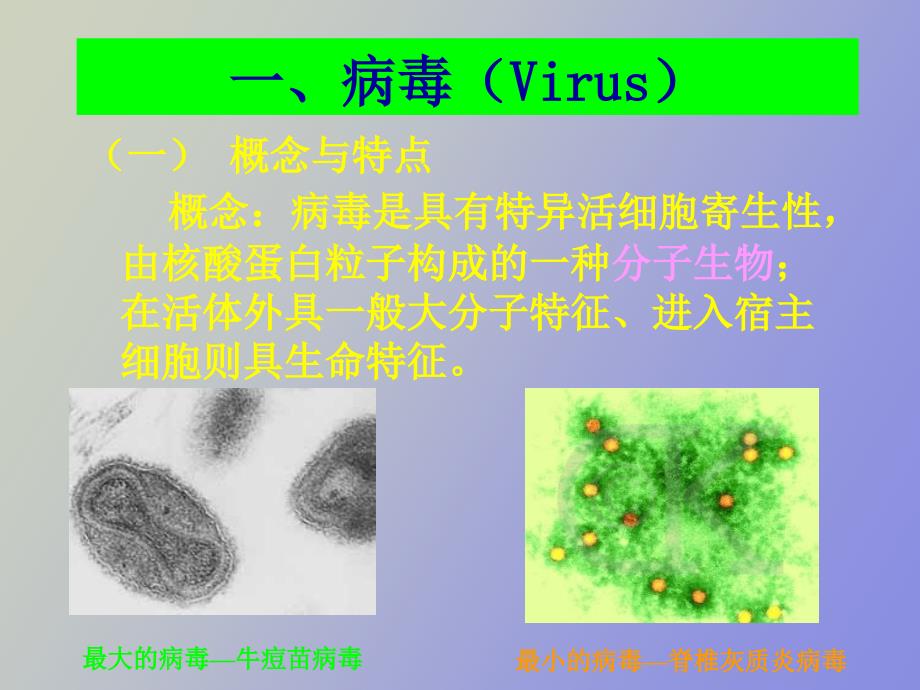 环境微生物学第四章_第3页