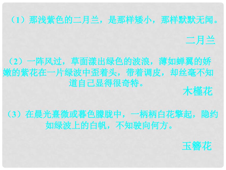 山东省胶南市理务关镇中心中学七年级语文上册《第16课 紫藤萝瀑布》课件 新人教版_第3页