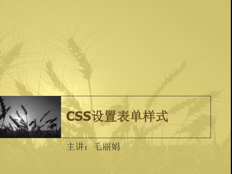 CSS设置表单样式.ppt_第1页