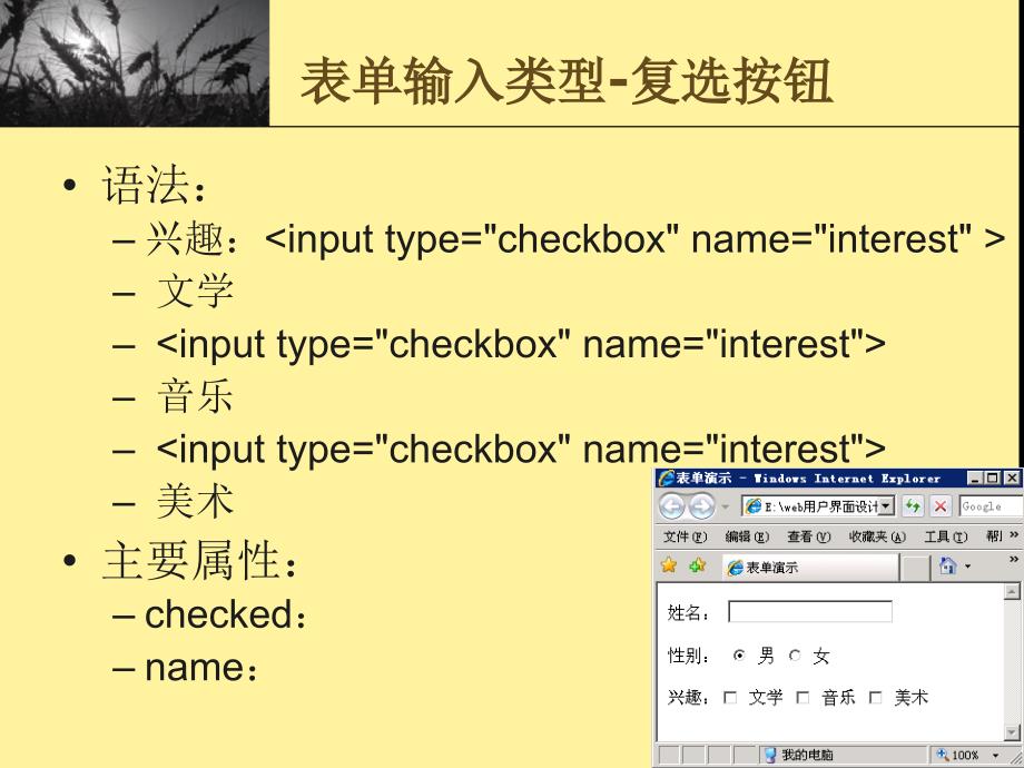 CSS设置表单样式.ppt_第4页