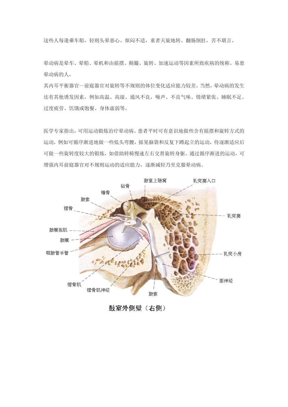 人们为什么会晕车.doc_第5页