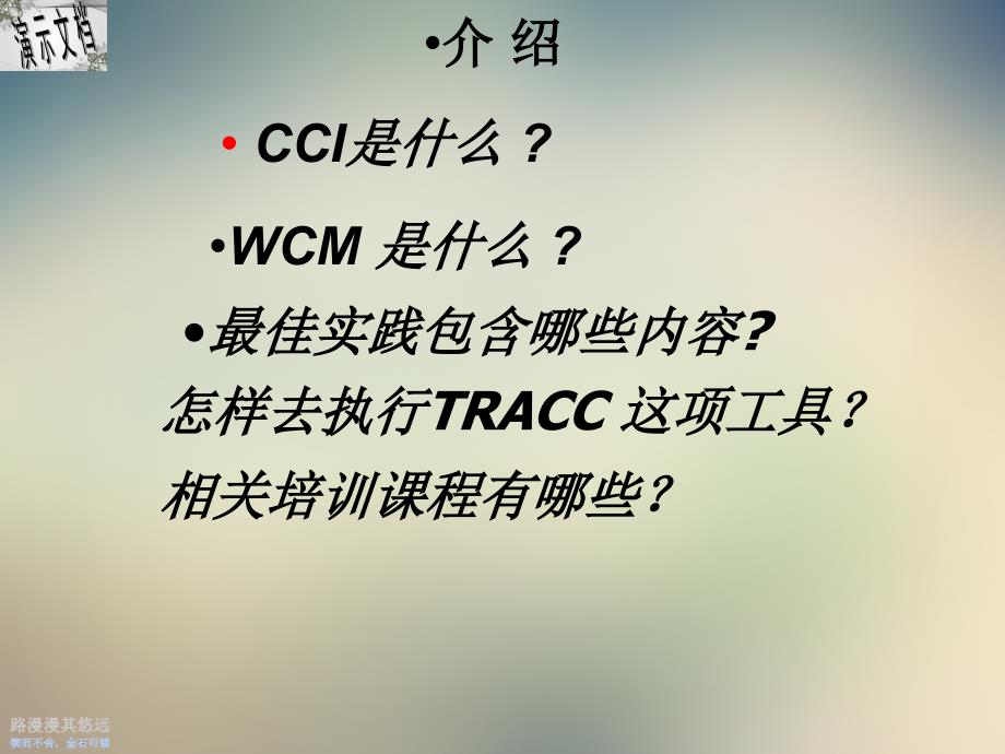 世界级工厂(WCM)执行最佳实践课件_第2页