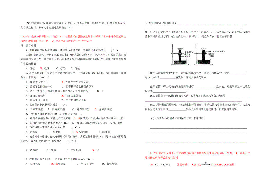 最新1.3制作泡菜并检测亚硝酸盐含量导学案刘英兰汇编_第2页