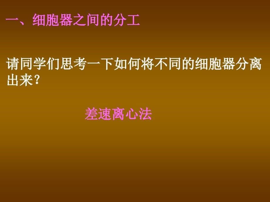 人教版必修一第三章第二节细胞器系统内的分工和合作共张PPT_第5页