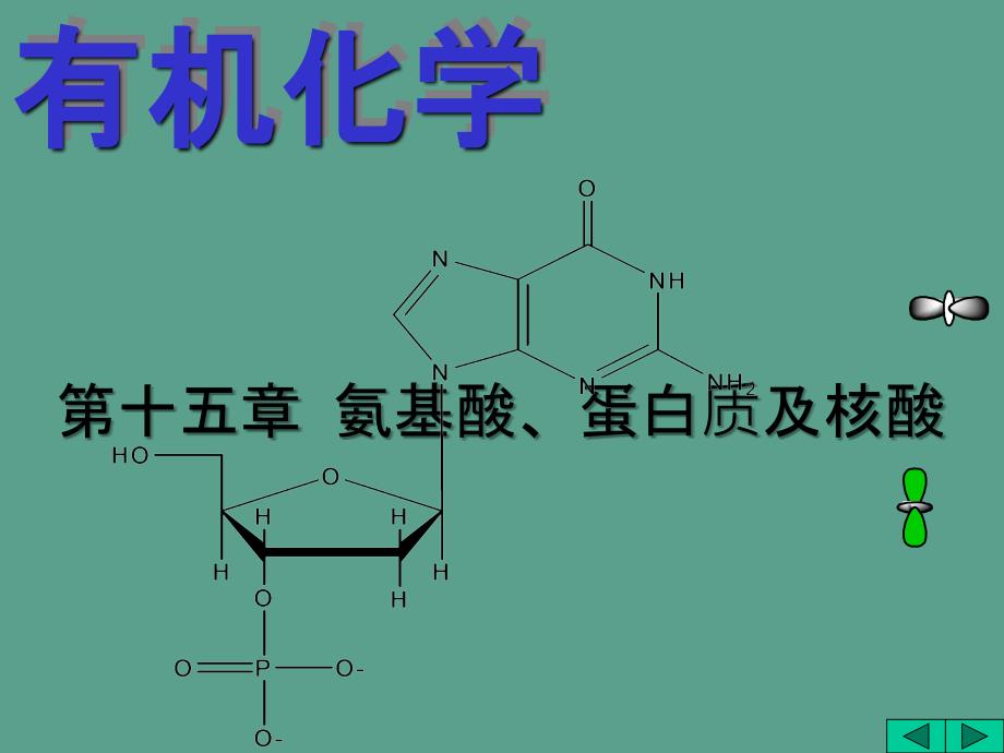 氨基酸蛋自质及核酸ppt课件_第1页