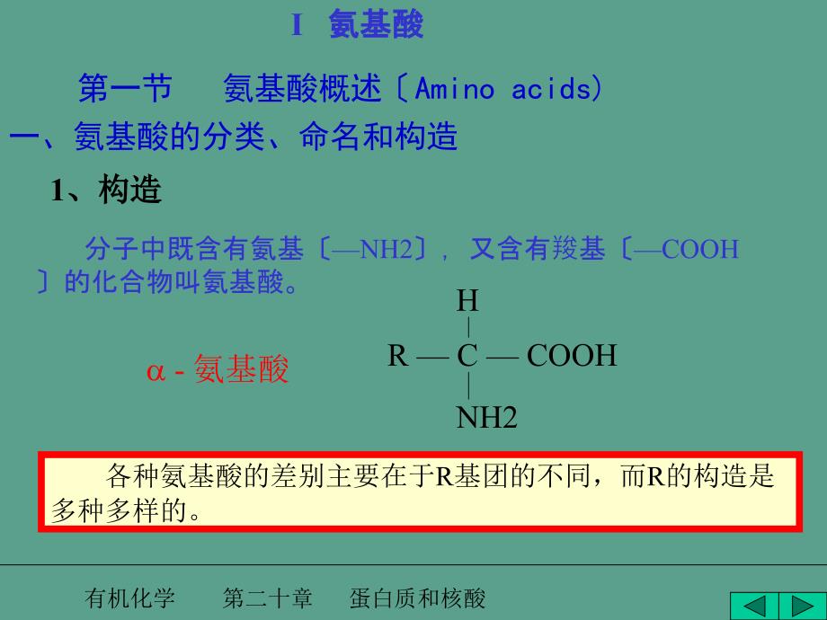 氨基酸蛋自质及核酸ppt课件_第4页