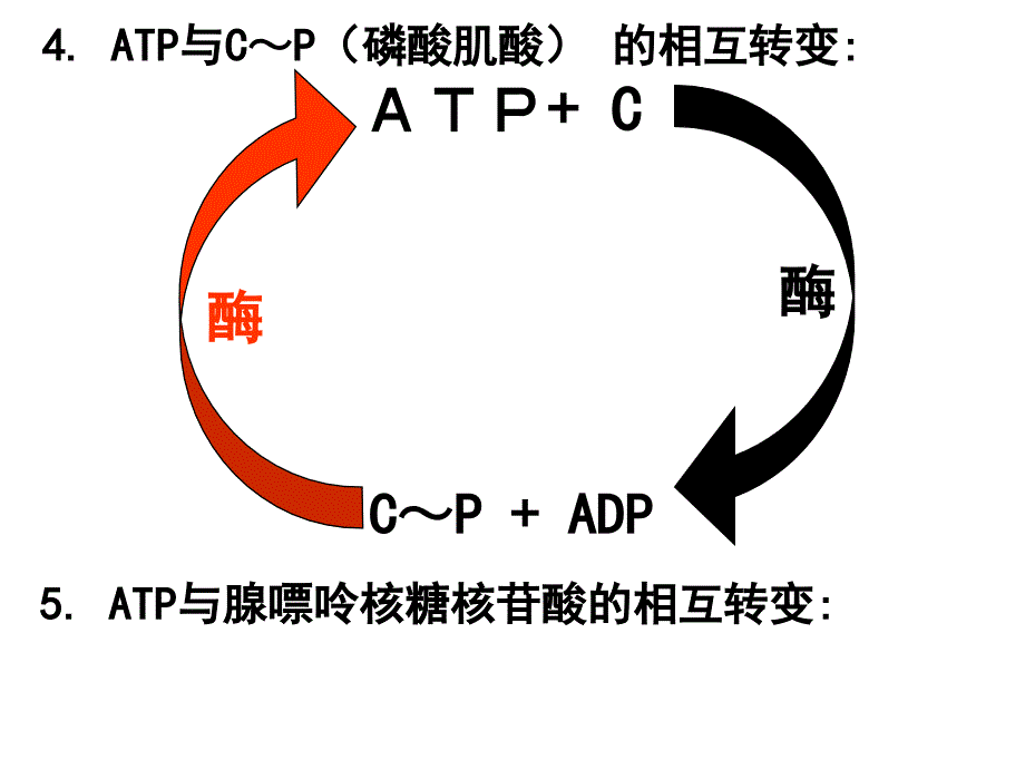 生物必修一第3章_第4页