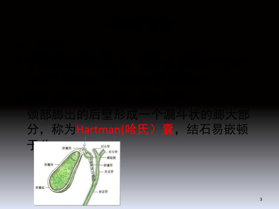 胆囊及胆管解剖课堂PPT_第3页